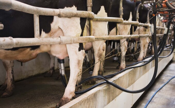 Agricultural emissions in Ireland are significantly higher than the EU average, accounting for more than one-third of the country’s total greenhouse gas emissions,