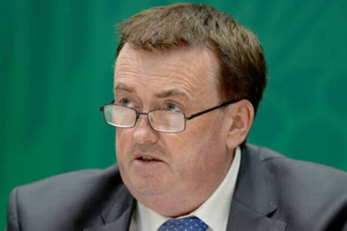 Ireland to offer cash to encourage Ukrainians to leave - migration minister