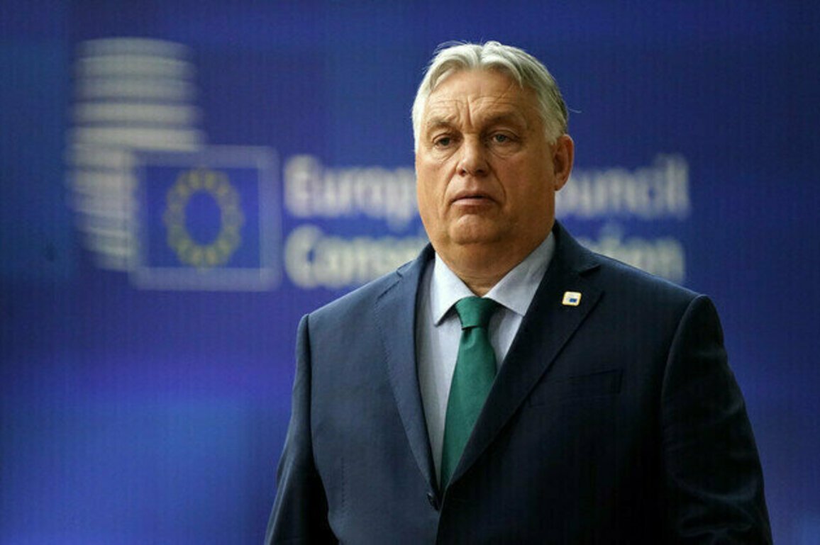 EU cant override Hungarys veto on Ukraine  German state media