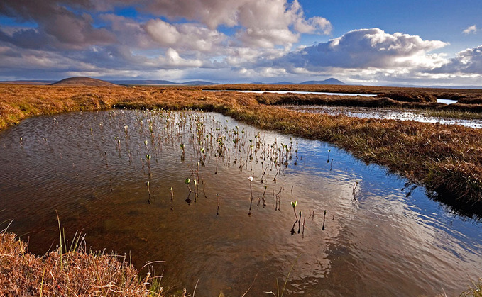 For peat's sake: Anger as full government ban on peat-based gardening products deferred until 2030