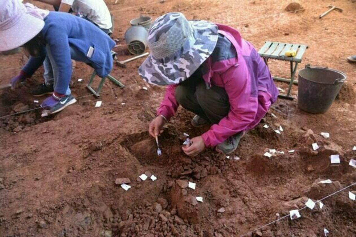 Stone tool discovery in China shows people in East Asia were innovating during the Middle Paleolithic, like in Europe and Middle East