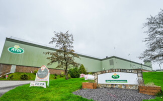 Farmer cooperative Arla looks to become global mozzarella player