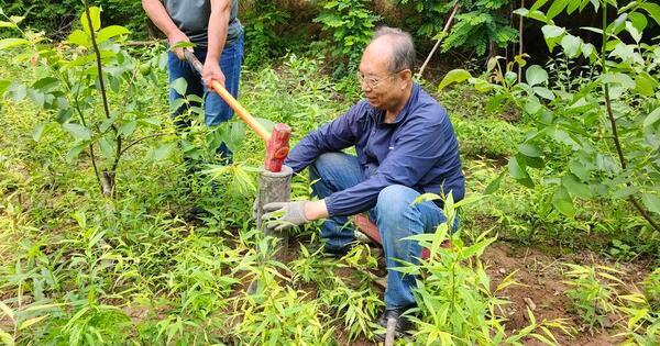 A silver-haired Chinese inventor's green innovations