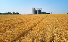Ukraine to sue EU states over grain imports ban