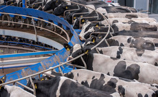 Farm vets lobby Government for minimum milk pricing