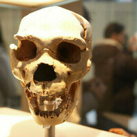 UK to return remains of war heroes to African nation  media