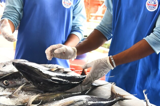 BRUNEI-BANDAR SERI BEGAWAN-FISH CARNIVAL