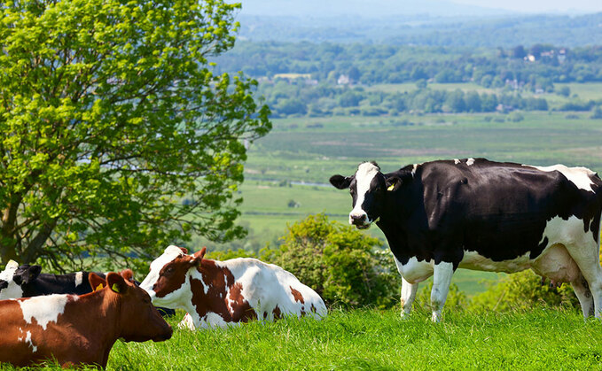 Staffordshire Police said three cows were recently stolen from Amerton Farm in Stowe-by-Chartley (generic image)