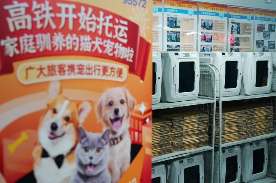 Furry companions ride high-speed rails as China expands pet travel options