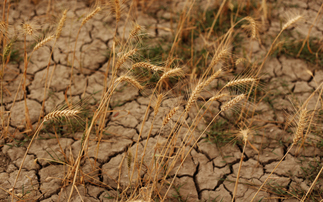 National Drought Group warns much of England has 'moved closer to drought status'