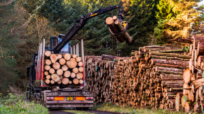 Timber in Construction Roadmap a starting gun