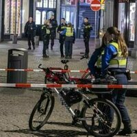 Ukrainian vet behind Dutch stabbings sought life sentence - media