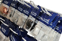 F&P Wholesale increases its connections