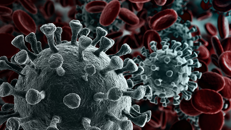 BMF adapts its activities for COVID-19 crisis