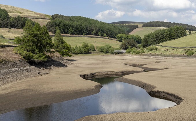 Half of England in drought as Environment Agency declares seven regions officially affected; heatwave peaks at 35C.