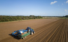 How the summer heatwave has taken its toll on potato harvest