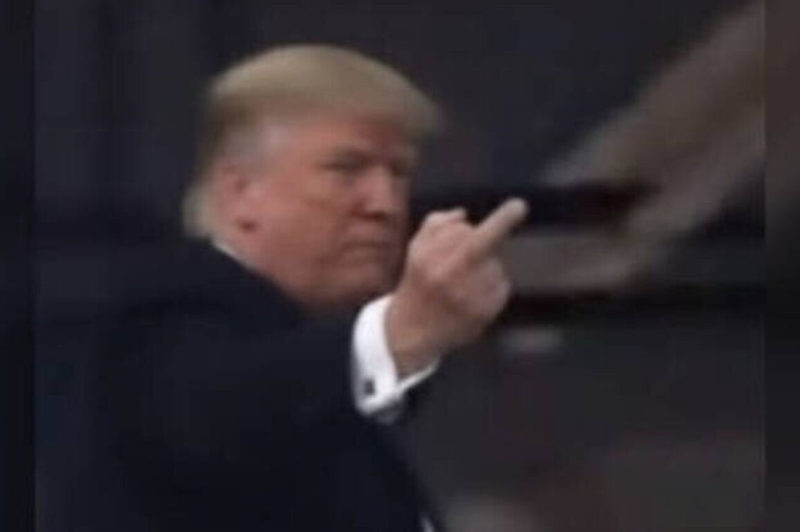 Trump flips off worker who called him 'pedophile protector'