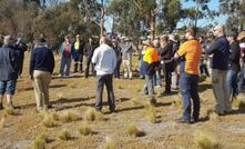  A workshop is to be held in Melbourne in May, looking at invasive plant and animal management. Image courtesy 