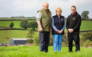 South Devon cattle bred for the future on the edge of Dartmoor