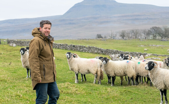 Sheep special: Disease management protocol delivers lameness improvement   