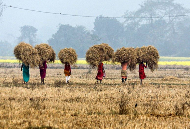 Scaling solar-based technologies can transform farm sector's productivity: Industry experts at India Energy Week 2025