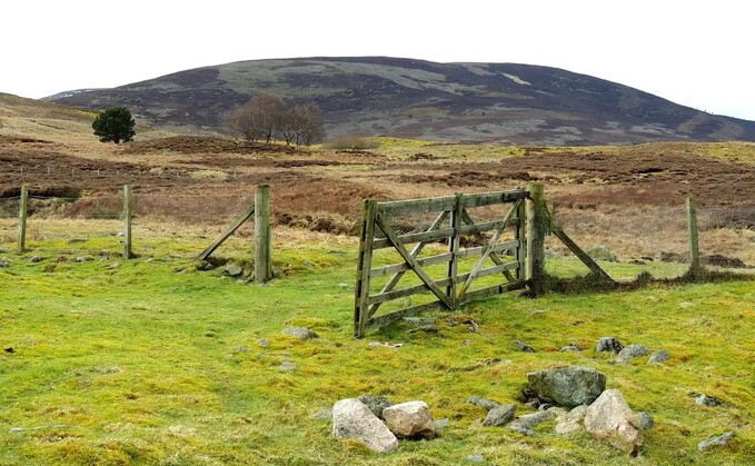 GWCT winds down Auchnerran tenancy