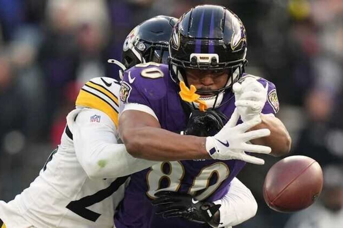 NFL Official Admits Another Wrong Call in Ravens' Loss to Steelers