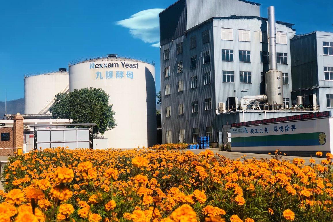 CHINA-YUNNAN-JAPANESE FIRM-"SWEET" INDUSTRY CHAIN (CN)