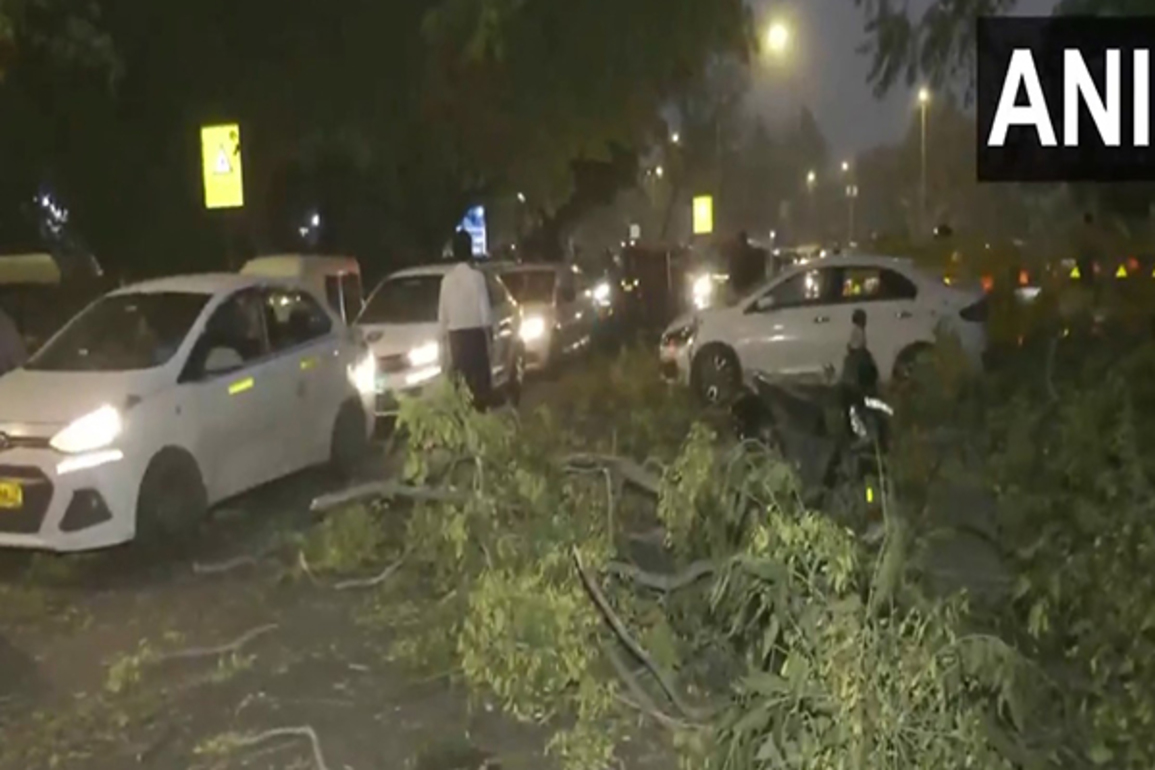 Delhi sees dust storm, trees fall in some areas