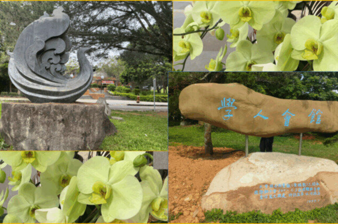 WHERE THE STONES SPEAK, THE FLOWERS DELIGHT AND THE TREES PROTECT