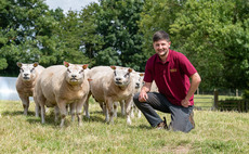 Young breeder develops Beltex from commercial to pedigree flock 