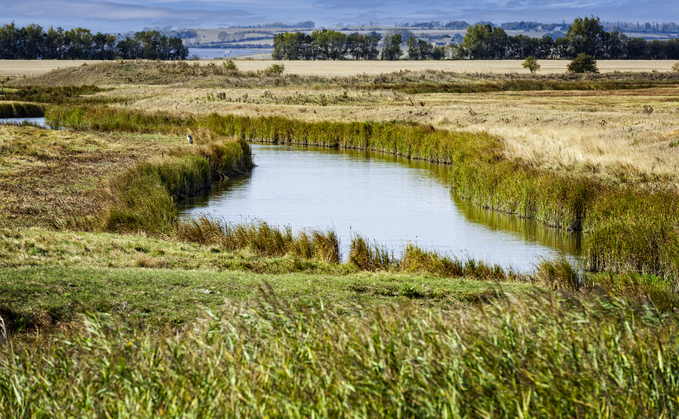 The Swale National Nature Reserve on the Isle of Sheppey in Kent, England | Credit: iStock