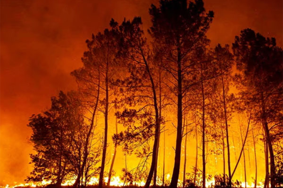 UAE expresses solidarity with Namibia in combating wildfires in Etosha National Park