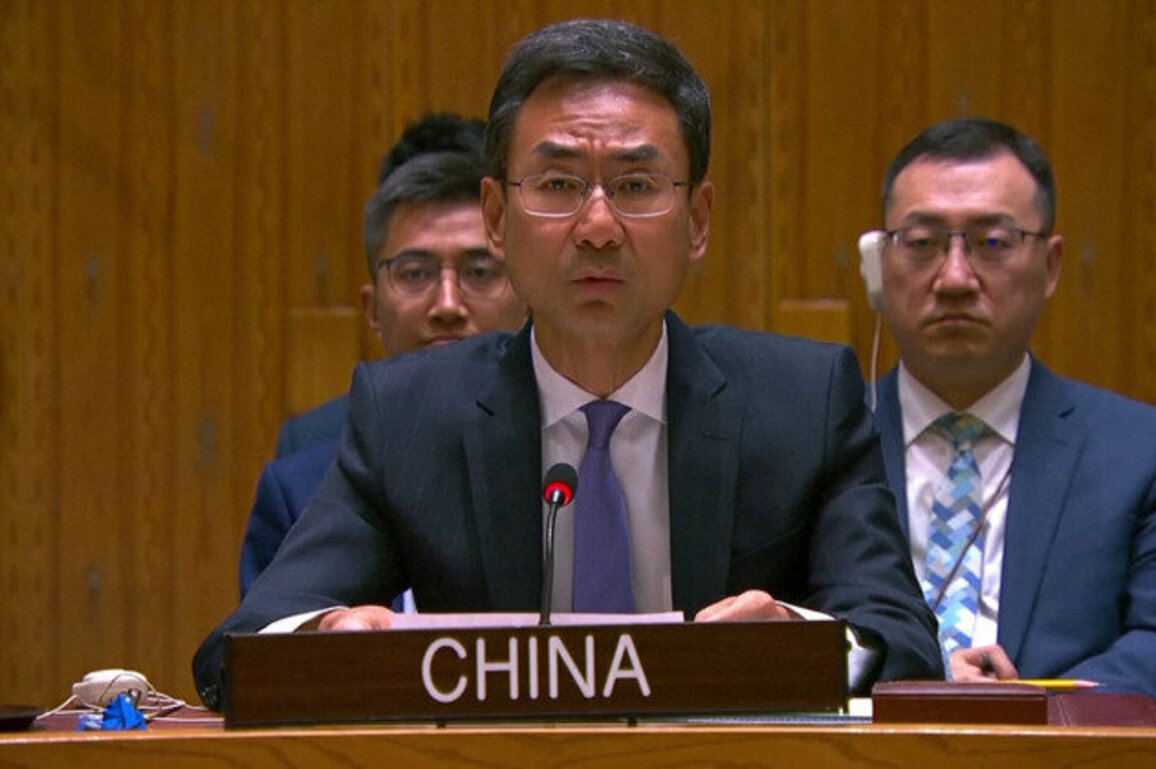 Chinese envoy stresses counter-terrorism in Syria chemical weapons