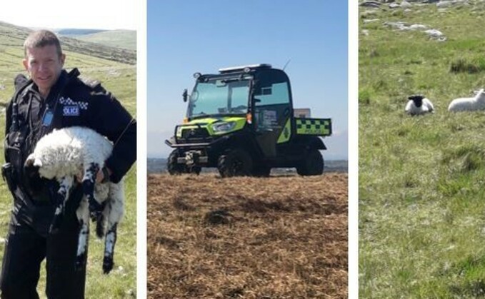 Cornwall Police warned owners to keep their dog on leads when in close proximity to livestock