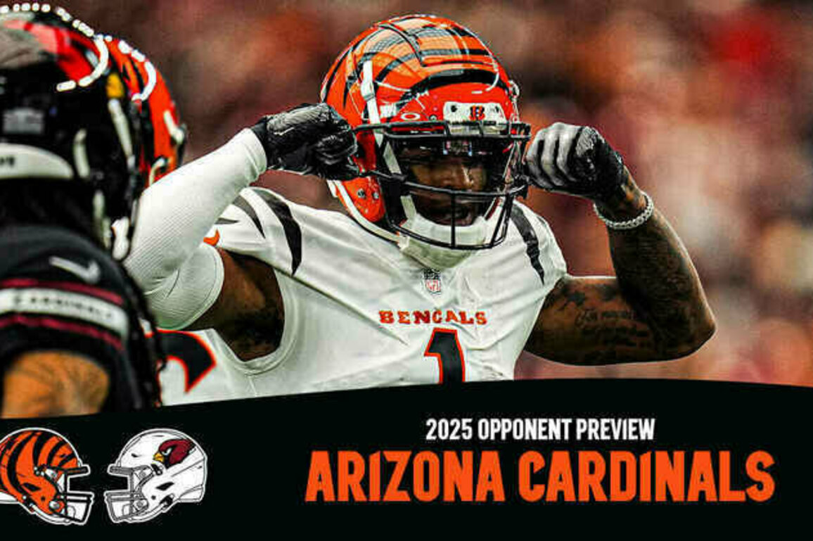 Bengals 2025 Opponent Preview: Arizona Cardinals