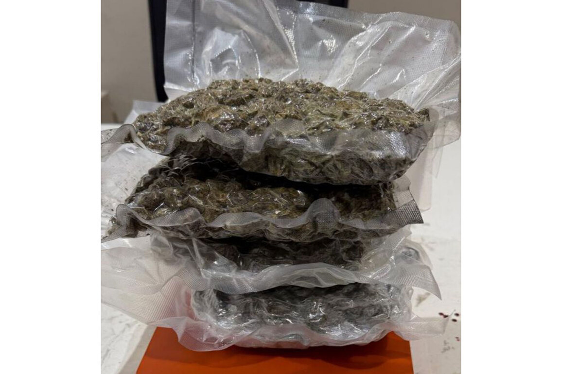 Man arrested for carrying 1.107 Kg hydroponic marijuana at Ahmedabad airport