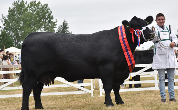 Aberdeen-Angus cow and calf outfit crowned beef supreme at Great Yorkshire Show