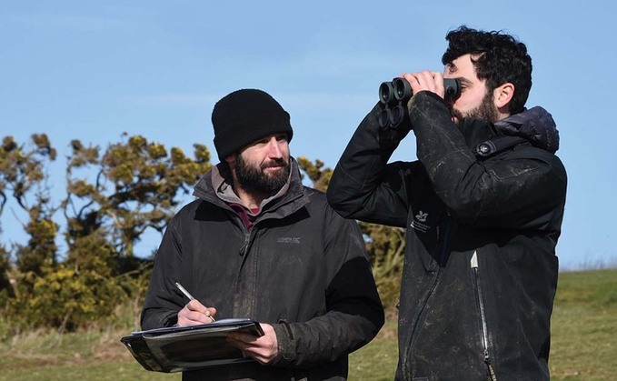 Record number take part in farmland bird count