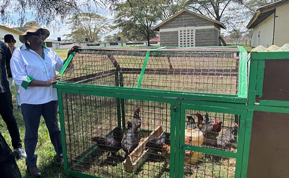 How improved poultry genetics are boosting food security in Kenya 