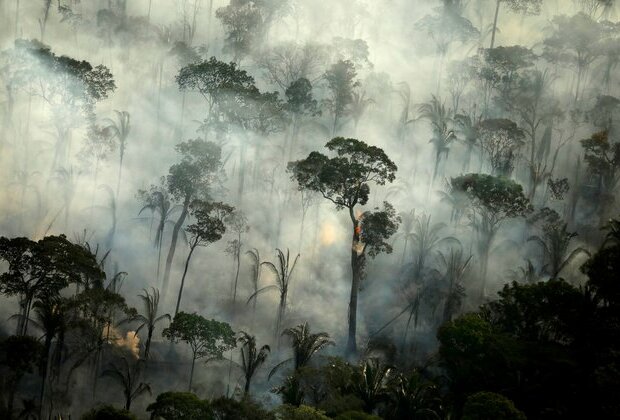 Brazil to Ban Fires in Amazon for 120 Days