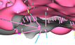  Making geological modelling simple is the premise of Vulcan GeologyCore, which has been released by technology developer Maptek