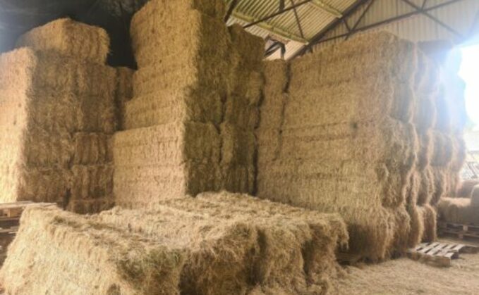 The Health and Safety Executive said poorly constructed stack of bales had contributed to the injuries Mr Rolfe has sustained on farm. (HSE)