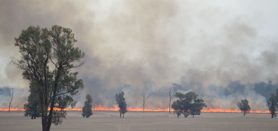 Some parts of southern New South Wales have been impacted by bushfires following hot and windy conditions in December.