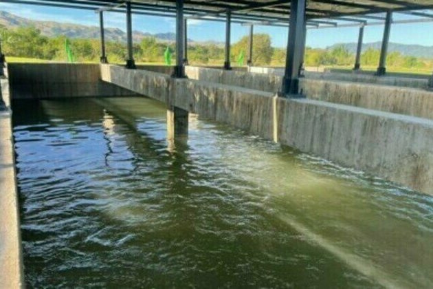 Irrigation boosts cotton production in Ilocos Norte village