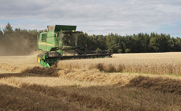 Record yields across Scottish crops