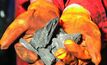 Mammoth analysis reveals high yield coking coal 
