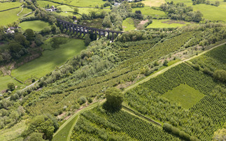 'World first' study shows how to boost woodland carbon capture by up to 27 per cent