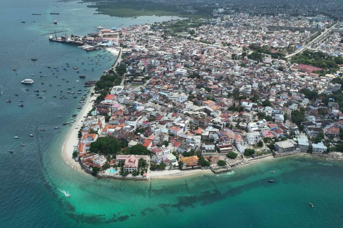 (Hello Africa) Chinese doctors race against clock to save young mother with giant liver tumor in Zanzibar