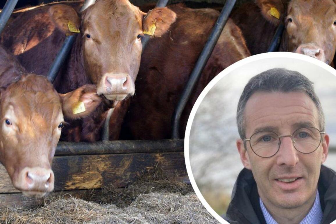 New scheme could see payments of 100 a cow, says Muir